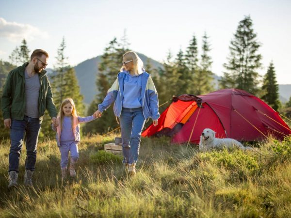 Top Tips for Camping on a Budget