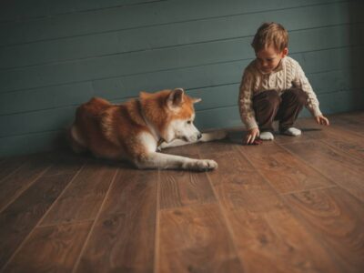 Best flooring for dogs and pets, scratch-resistant waterproof wood flooring with child and dog indoors