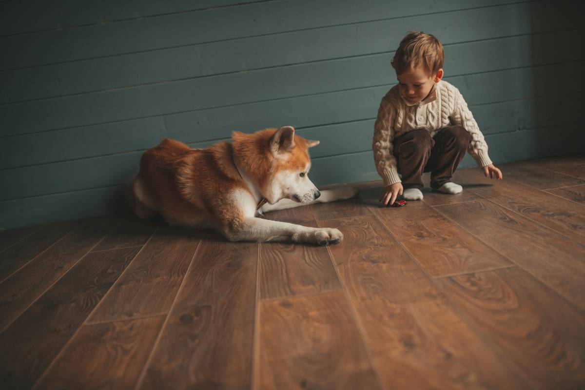 Best flooring for dogs and pets, scratch-resistant waterproof wood flooring with child and dog indoors
